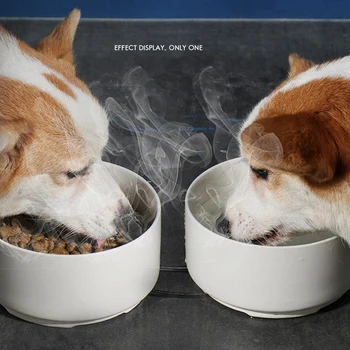 1200ML Inteligent de Căldură Pisici Castron Ceramica Gât Câini de Protectia Sticle Anti-Răsturnare de Apă Potabilă Animale de companie Castron, Plug SUA