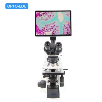 OPTO-EDU A33.1502 HD 8.0 M 1000x Trinocular Biologice de Învățământ Video Microscop Digital Cu Ecran Lcd