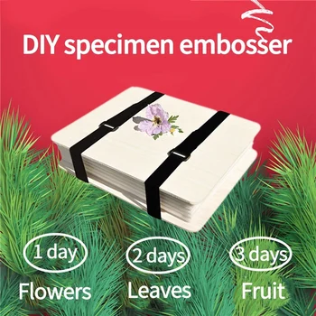 1 Set de Plante Specimen Tool Kit DIY Flori Uscate de Presă din Lemn de Plante Apăsați Instrument de Flori de Presă Frunze de Plante Apăsați Set