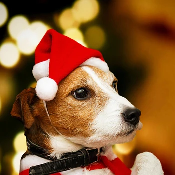 Crăciun Animale De Companie Santa Pălărie Catelus Mic Câine Pisică De Vacanță De Crăciun Costum Ornamente